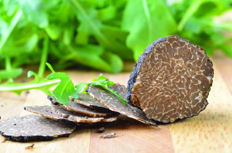 Where Do Truffles Grow? Grit